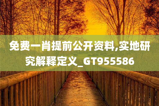 免费一肖提前公开资料,实地研究解释定义_GT955586