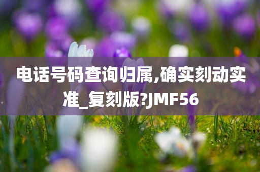 电话号码查询归属,确实刻动实准_复刻版?JMF56