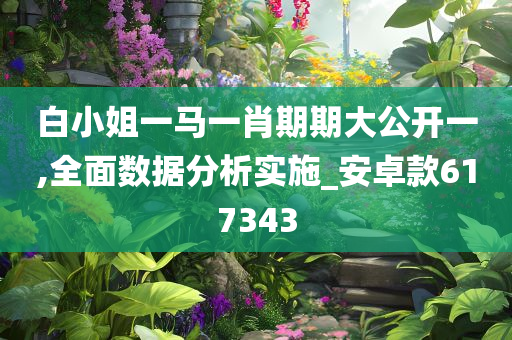 白小姐一马一肖期期大公开一,全面数据分析实施_安卓款617343