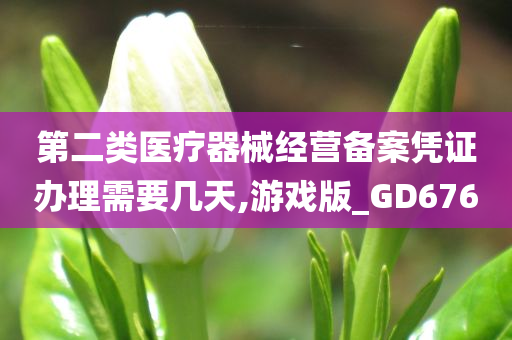 第二类医疗器械经营备案凭证办理需要几天,游戏版_GD676