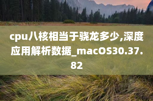 cpu八核相当于骁龙多少,深度应用解析数据_macOS30.37.82