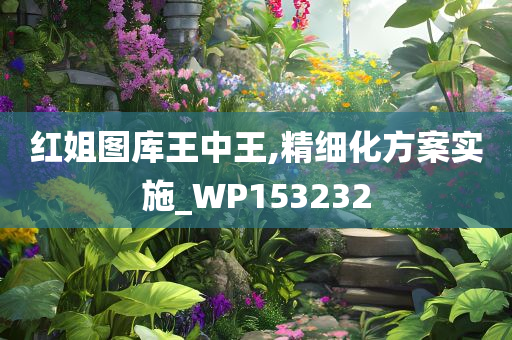 红姐图库王中王,精细化方案实施_WP153232