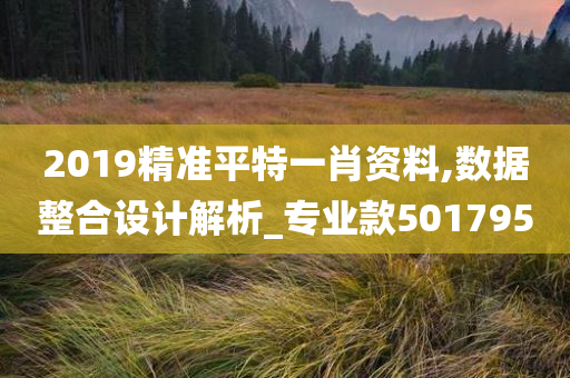 2019精准平特一肖资料,数据整合设计解析_专业款501795