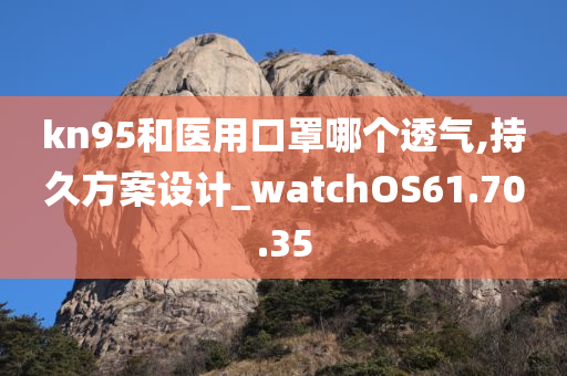 kn95和医用口罩哪个透气,持久方案设计_watchOS61.70.35