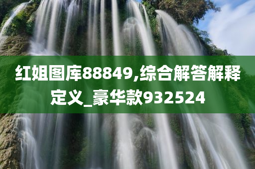 红姐图库88849,综合解答解释定义_豪华款932524