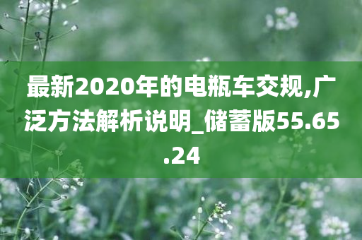 最新2020年的电瓶车交规,广泛方法解析说明_储蓄版55.65.24