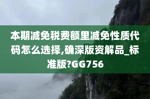 本期减免税费额里减免性质代码怎么选择,确深版资解品_标准版?GG756