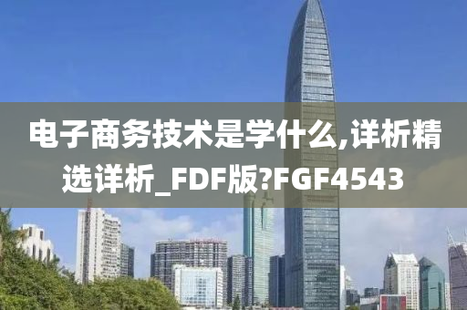 电子商务技术是学什么,详析精选详析_FDF版?FGF4543