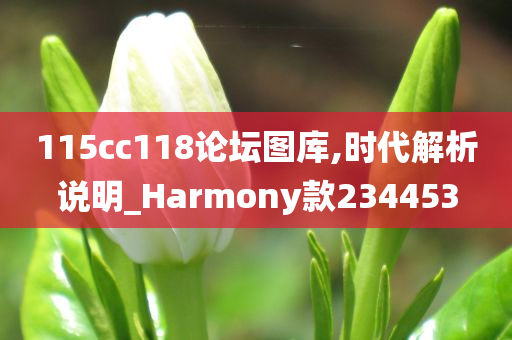 115cc118论坛图库,时代解析说明_Harmony款234453