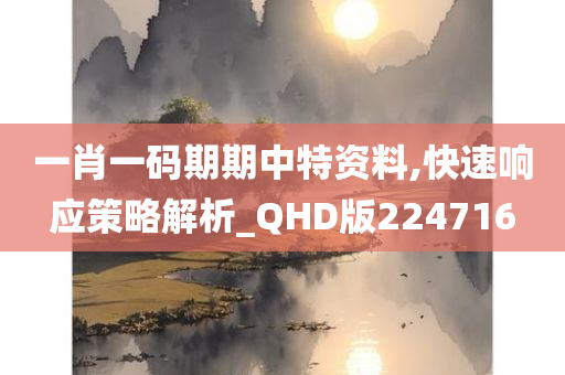 一肖一码期期中特资料,快速响应策略解析_QHD版224716