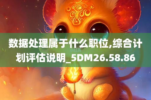 数据处理属于什么职位,综合计划评估说明_5DM26.58.86