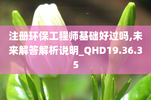 注册环保工程师基础好过吗,未来解答解析说明_QHD19.36.35