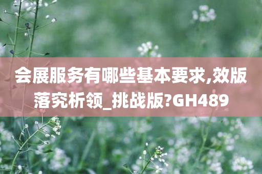 会展服务有哪些基本要求,效版落究析领_挑战版?GH489