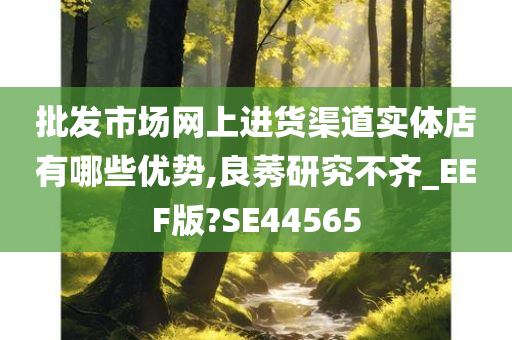 批发市场网上进货渠道实体店有哪些优势,良莠研究不齐_EEF版?SE44565