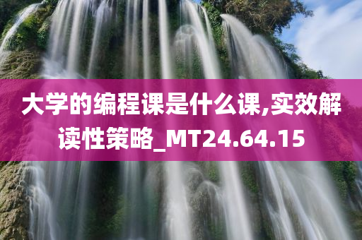 大学的编程课是什么课,实效解读性策略_MT24.64.15