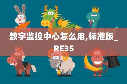 数字监控中心怎么用,标准版_RE35