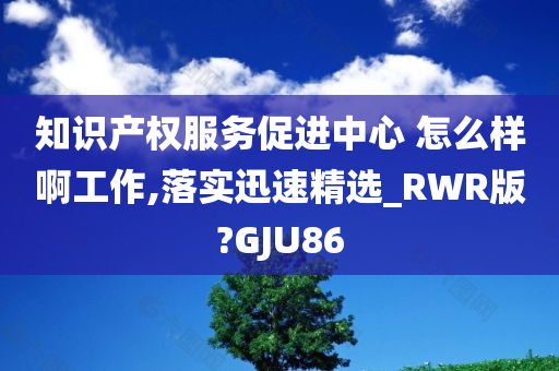 知识产权服务促进中心 怎么样啊工作,落实迅速精选_RWR版?GJU86