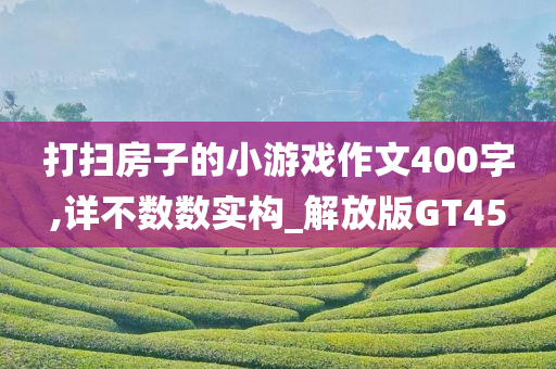 打扫房子的小游戏作文400字,详不数数实构_解放版GT45