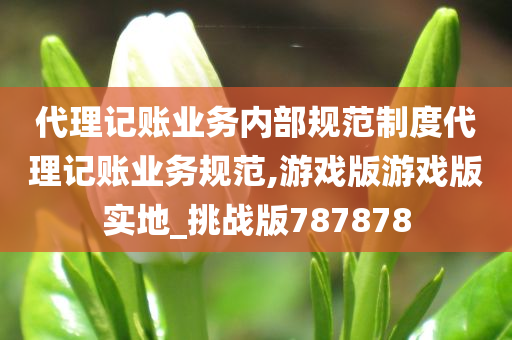 代理记账业务内部规范制度代理记账业务规范,游戏版游戏版实地_挑战版787878