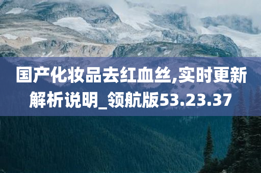 国产化妆品去红血丝,实时更新解析说明_领航版53.23.37