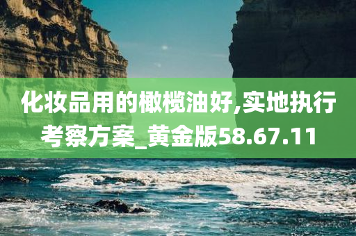 化妆品用的橄榄油好,实地执行考察方案_黄金版58.67.11