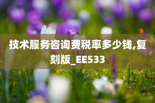 技术服务咨询费税率多少钱,复刻版_EE533