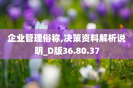 企业管理俗称,决策资料解析说明_D版36.80.37