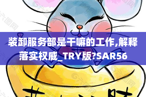 装卸服务部是干嘛的工作,解释落实权威_TRY版?SAR56