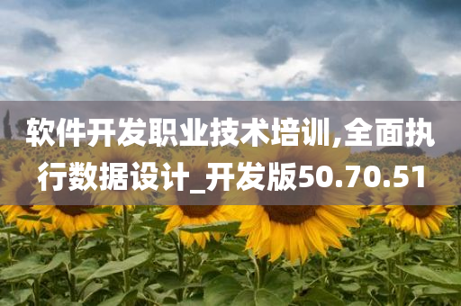 软件开发职业技术培训,全面执行数据设计_开发版50.70.51