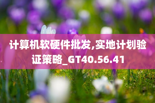 计算机软硬件批发,实地计划验证策略_GT40.56.41