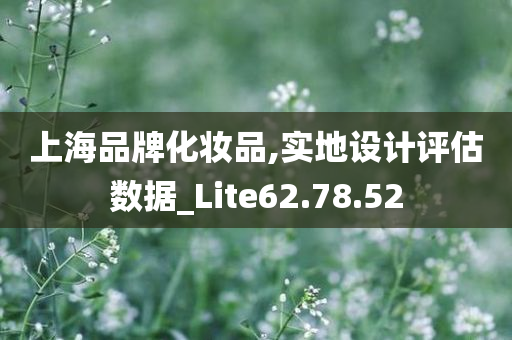 上海品牌化妆品,实地设计评估数据_Lite62.78.52