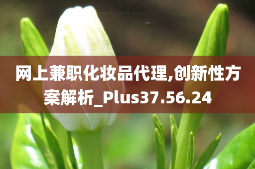 网上兼职化妆品代理,创新性方案解析_Plus37.56.24