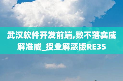 武汉软件开发前端,数不落实威解准威_授业解惑版RE35