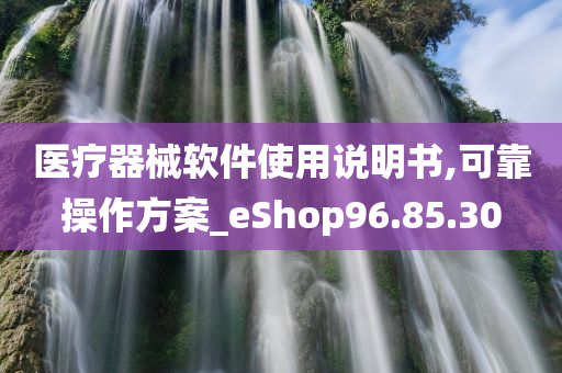 医疗器械软件使用说明书,可靠操作方案_eShop96.85.30