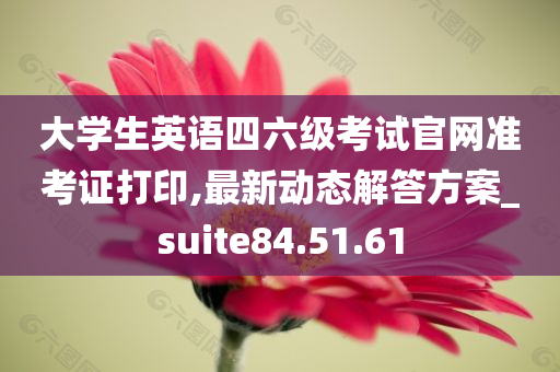 大学生英语四六级考试官网准考证打印,最新动态解答方案_suite84.51.61