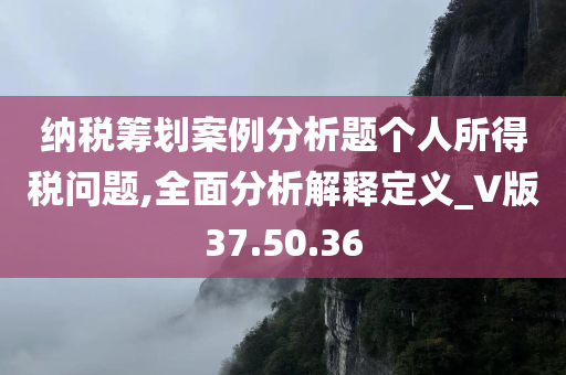 纳税筹划案例分析题个人所得税问题,全面分析解释定义_V版37.50.36