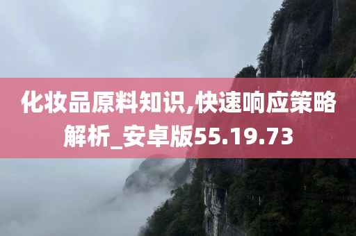 化妆品原料知识,快速响应策略解析_安卓版55.19.73