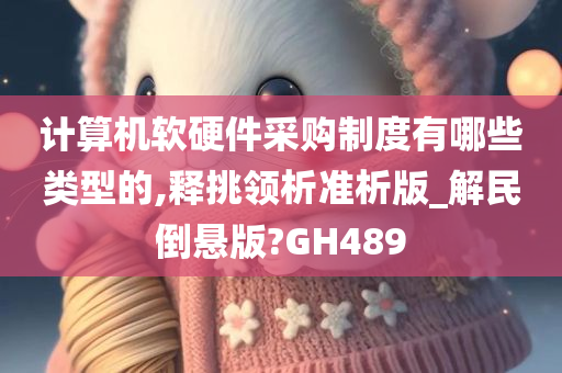 计算机软硬件采购制度有哪些类型的,释挑领析准析版_解民倒悬版?GH489