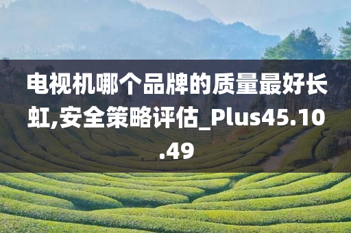 电视机哪个品牌的质量最好长虹,安全策略评估_Plus45.10.49