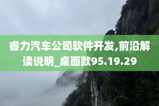 睿力汽车公司软件开发,前沿解读说明_桌面款95.19.29