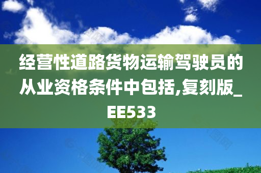 经营性道路货物运输驾驶员的从业资格条件中包括,复刻版_EE533