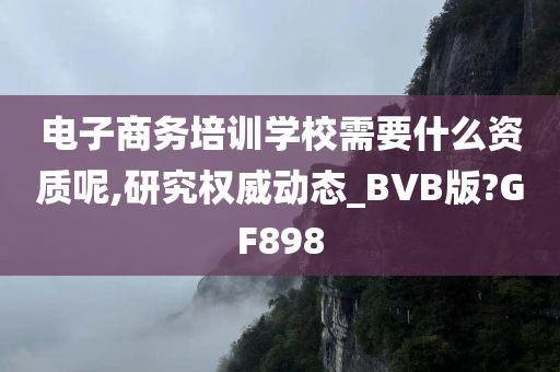 电子商务培训学校需要什么资质呢,研究权威动态_BVB版?GF898