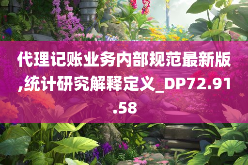 代理记账业务内部规范最新版,统计研究解释定义_DP72.91.58