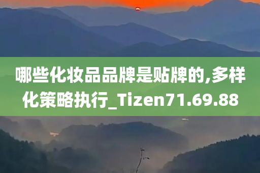 哪些化妆品品牌是贴牌的,多样化策略执行_Tizen71.69.88