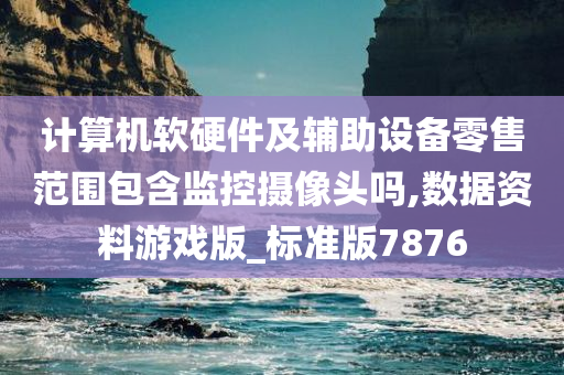 计算机软硬件及辅助设备零售范围包含监控摄像头吗,数据资料游戏版_标准版7876