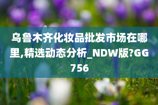 乌鲁木齐化妆品批发市场在哪里,精选动态分析_NDW版?GG756