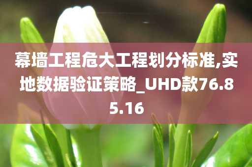 幕墙工程危大工程划分标准,实地数据验证策略_UHD款76.85.16