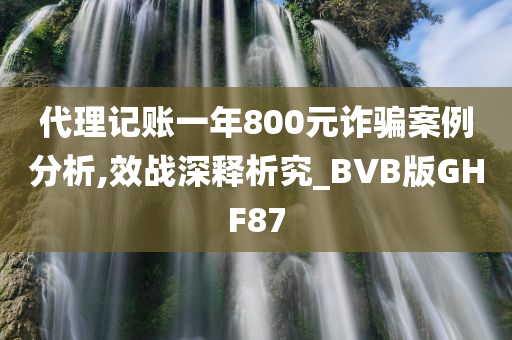 代理记账一年800元诈骗案例分析,效战深释析究_BVB版GHF87