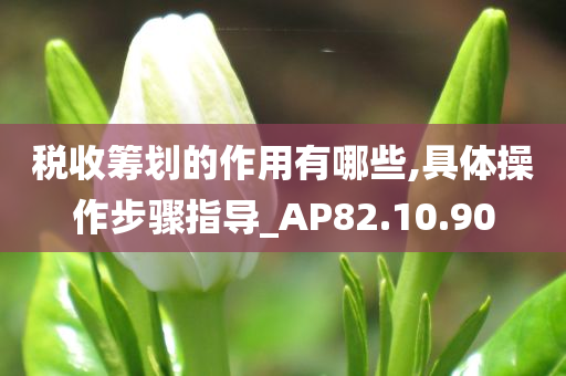 税收筹划的作用有哪些,具体操作步骤指导_AP82.10.90