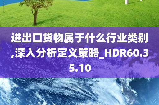 进出口货物属于什么行业类别,深入分析定义策略_HDR60.35.10